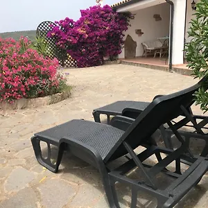 Casa vacanze Studio Apartments-ucuppu